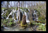 Plitvice -12-04-2026 - Bogdan Balaban